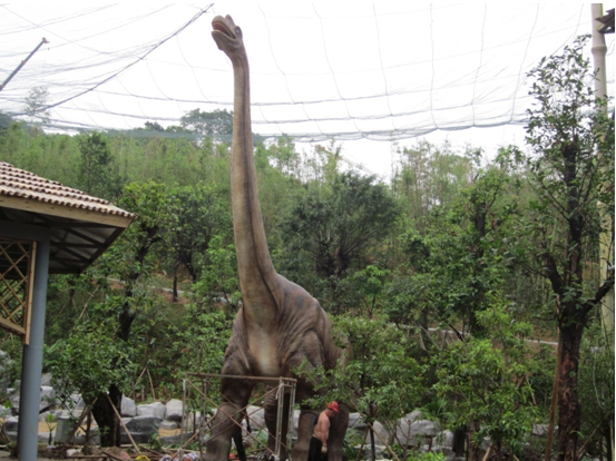 深圳天府峨眉龙展